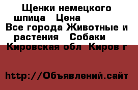 Щенки немецкого шпица › Цена ­ 20 000 - Все города Животные и растения » Собаки   . Кировская обл.,Киров г.